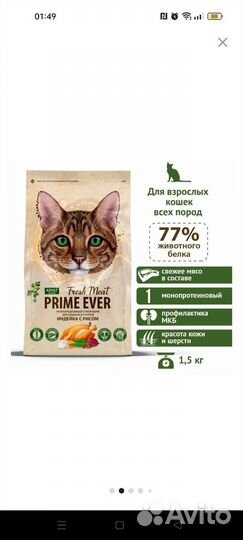 Корм для кошек