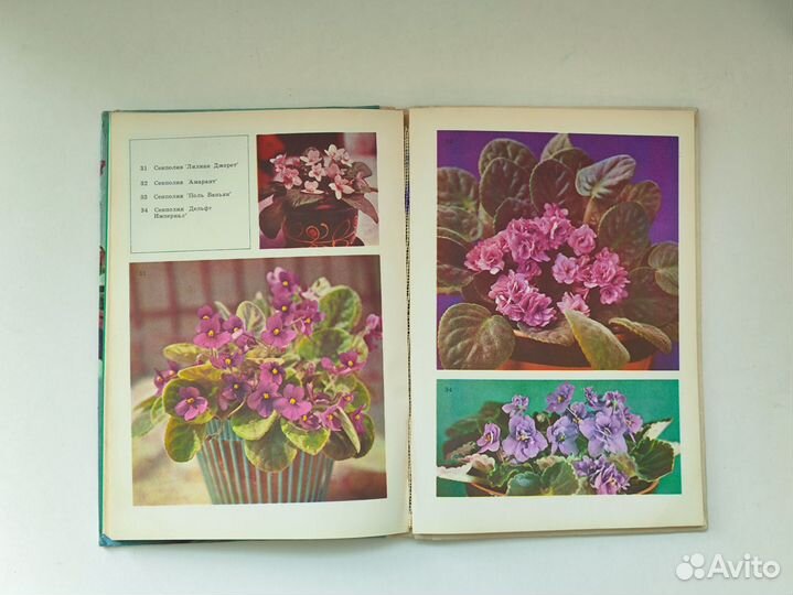 Юхимчук Комнатное цветоводство 1979г