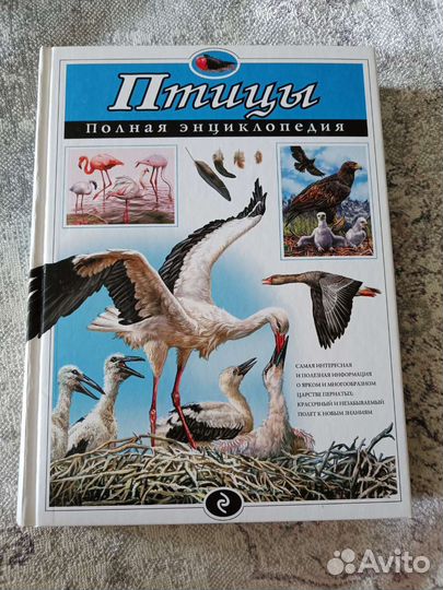 Энциклопедия