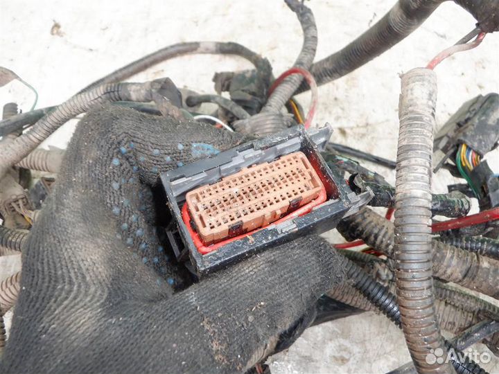 Проводка (коса) Дэо Нексия