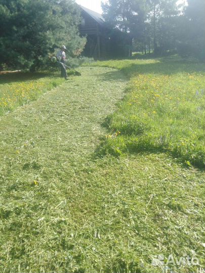 Покос травы