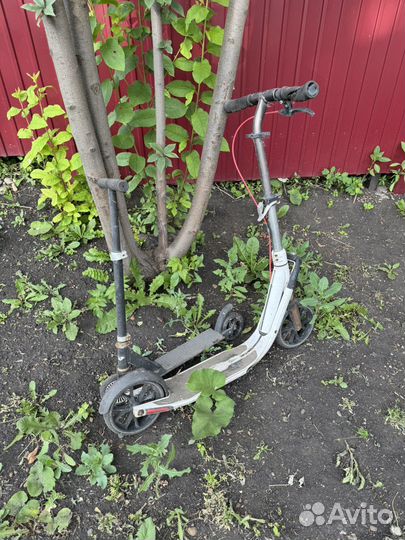 Самокат взрослый