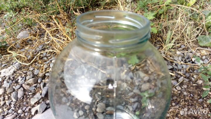 Банки 3 л. винтовые