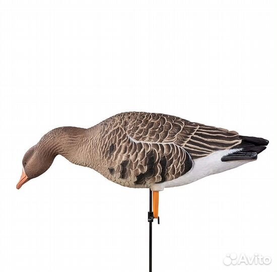 Чучела гусь белолобый 6шт DM-100501