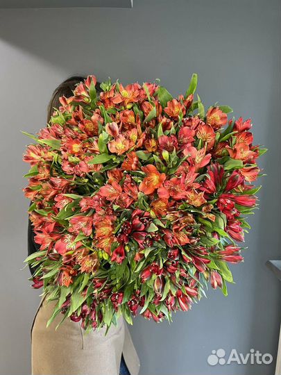 Альстромерия Букет альстромерий с доставкой