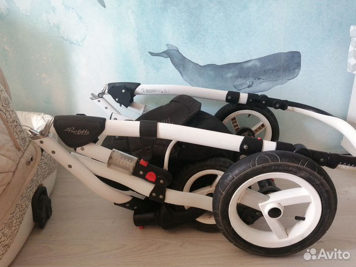 Коляска 2в1 adamex