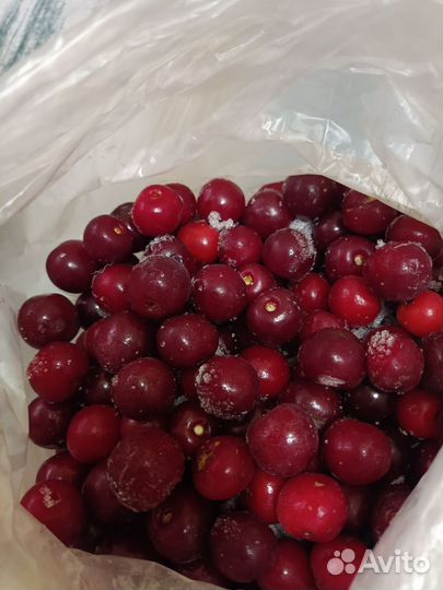 Щавель, тыква, боярышник