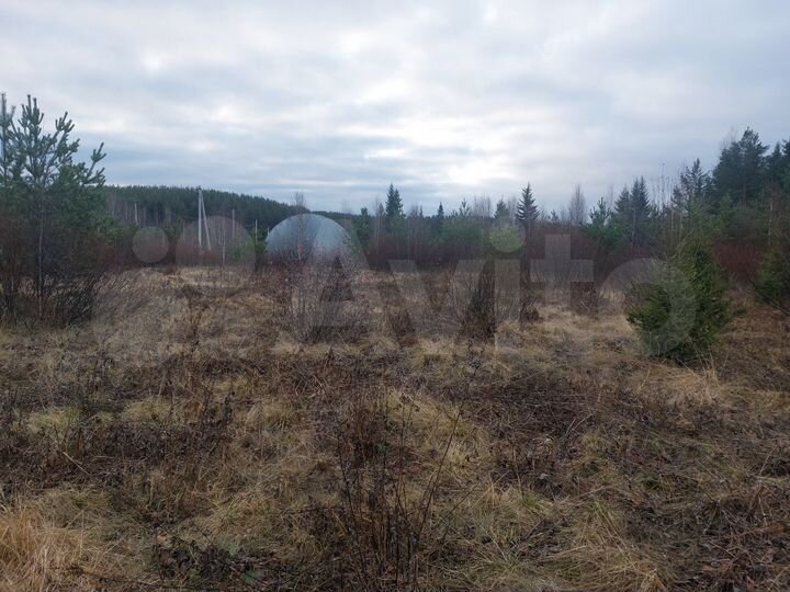 Участок 25 сот. (ИЖС)