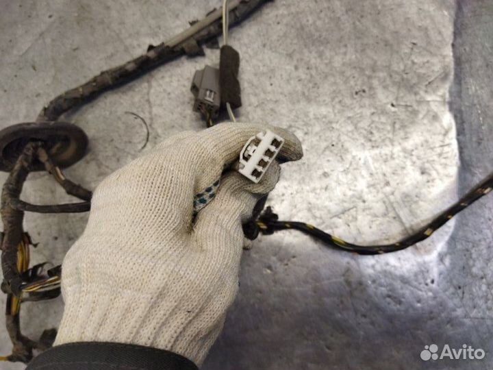 Проводка двери передняя левая Ford Focus 2 седан