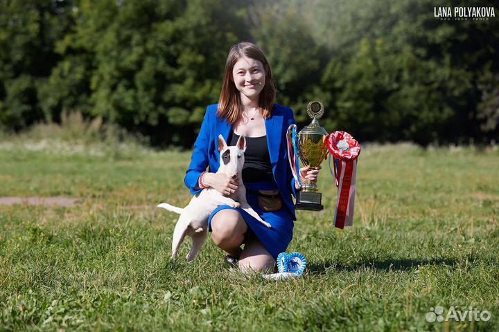 Хендлер. Презентация на выставке. Москва, СПб