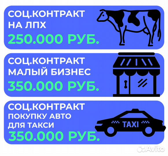 Социальный контракт на 350т. + бизнес план