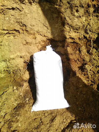 Навоз конский