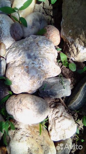 Камни, минералы, коллекция