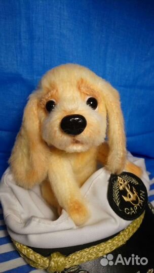 Спаниелька