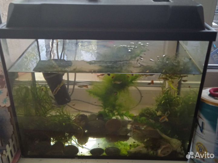 Аквариум с рыбками бу
