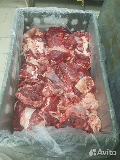 Мясо говядина 2 сорт