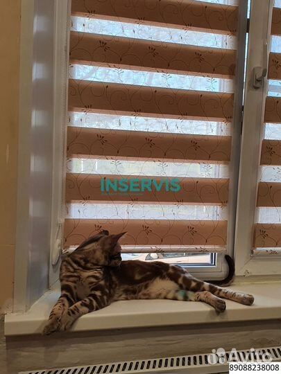 Жалюзи зебра день ночь