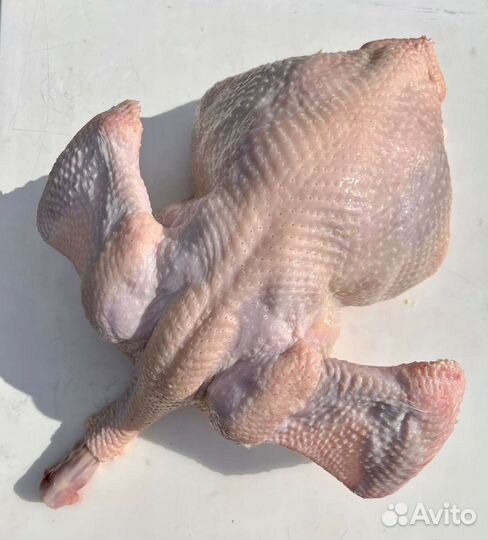 Индюки на мясо