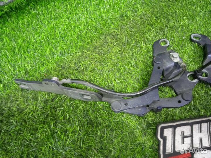 Петля капота Bmw 3-Series E90 N46N 2007