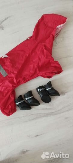 Одежда для маленьких собак