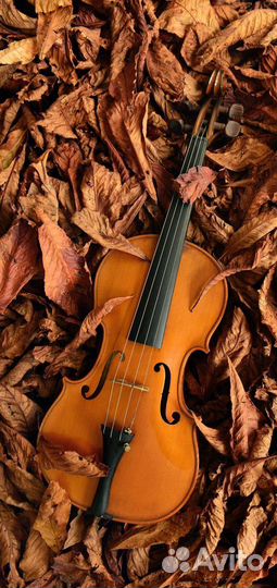 Музыкальное развитие детей on/offline