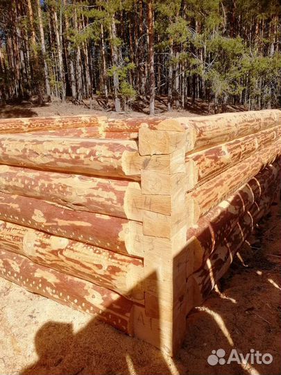 Сруб для бани 3х3, 3х6