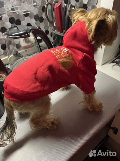 Худе для животных