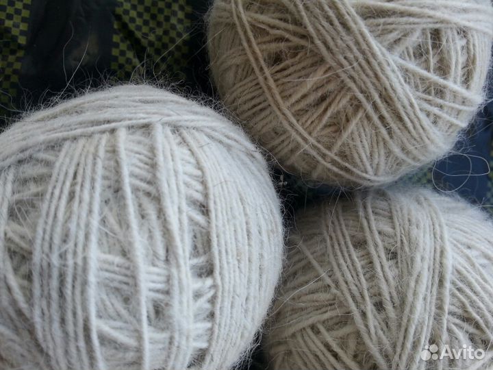 Собачья шерсть