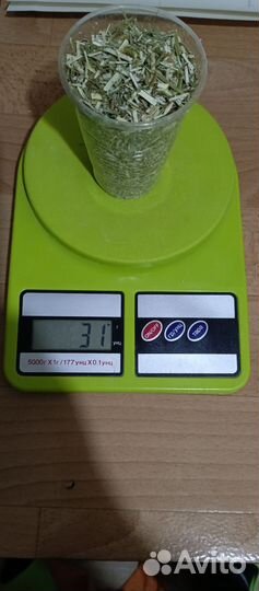 Дрок красильный для щитовидки, сухое сырье