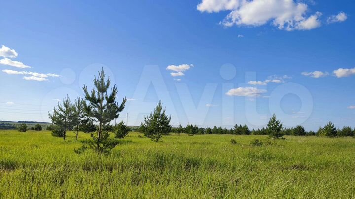 Участок 14,3 сот. (ИЖС)