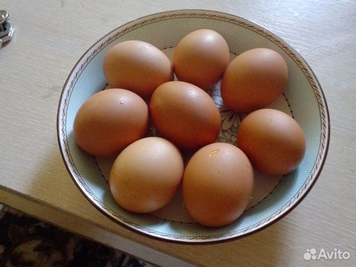 Яйцо домашнее
