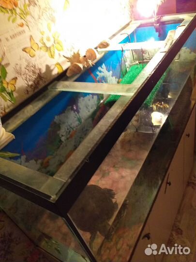 Аквариум 420л