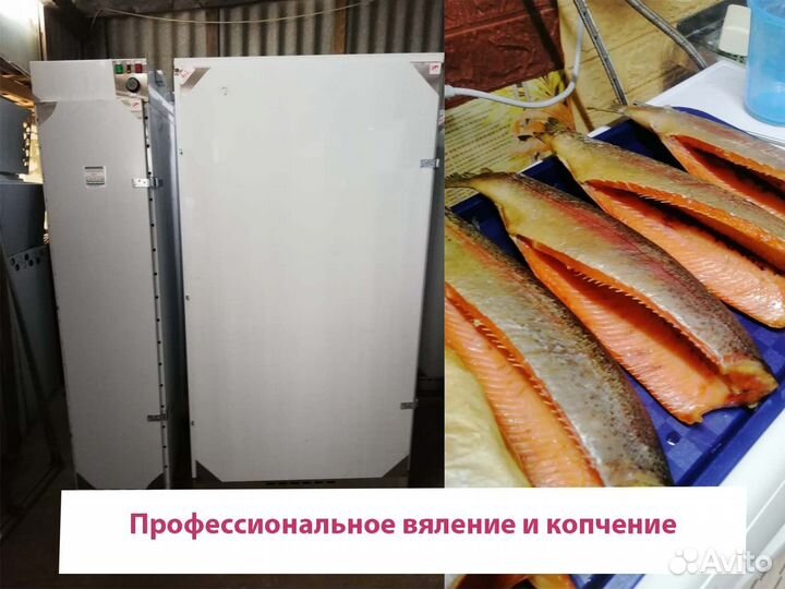 Коптильный цех на 400 кг