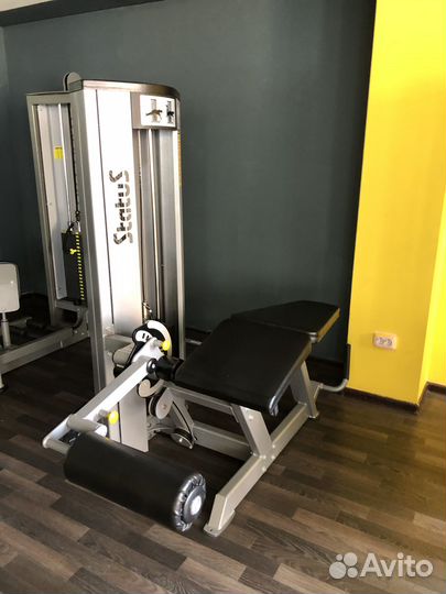 Жим ногами и другие профессиональные тренажёры