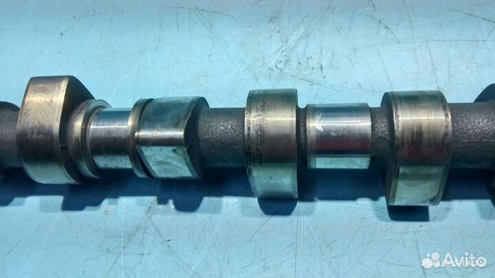 Распредвал для Ford Focus 2 2005-2011