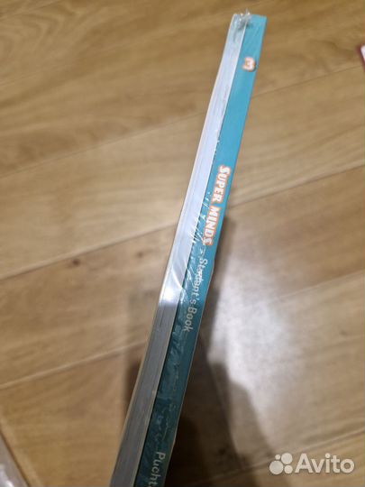 Super minds second edition