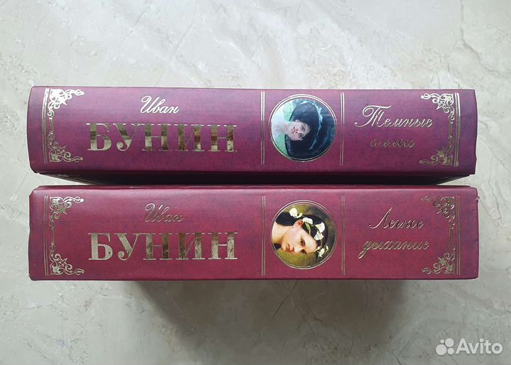 Бунин книги повести рассказы