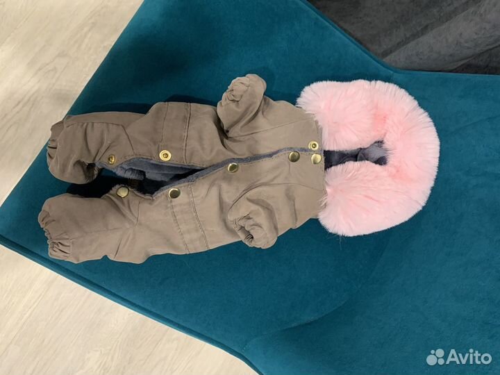 Одежда для собак мелких пород