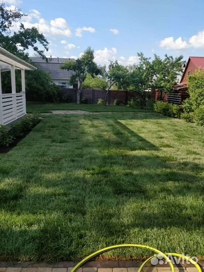 Рулонный газон