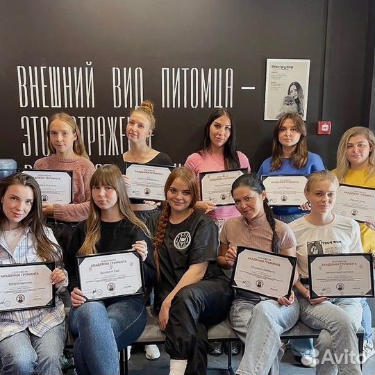 Обучение курсы груминга