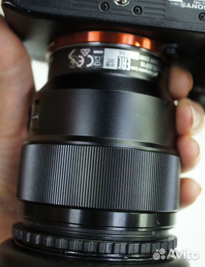 Sony FE 85mm/1.8 (и аренда)