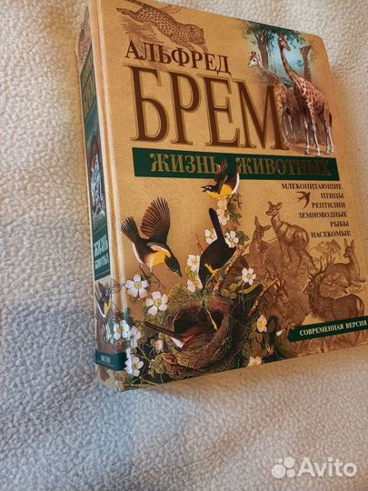 Книга альфред Брем жизнь животных