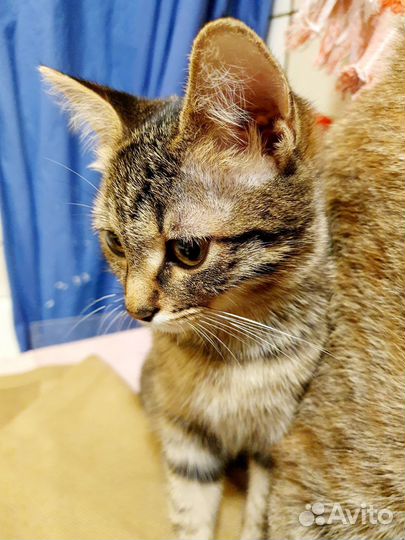 Мишелька уже не верит, что ее мама найдётся