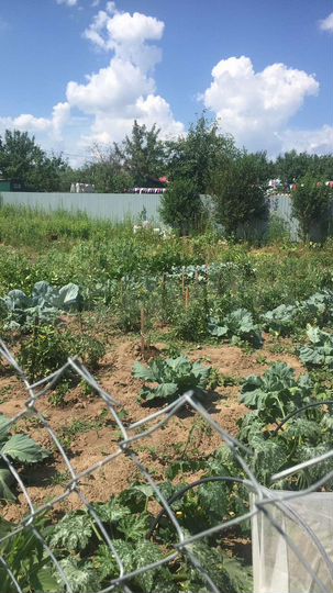 Участок 4 сот. (СНТ, ДНП)