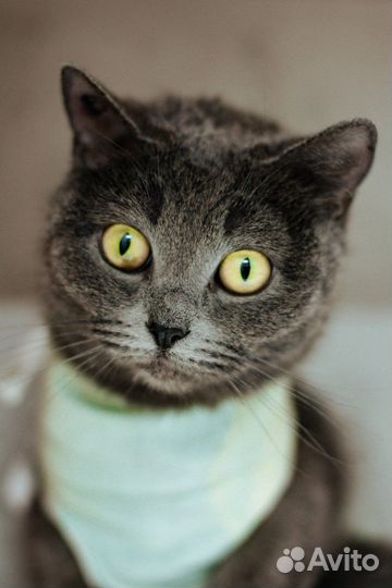 Через 7 дней ждет улица