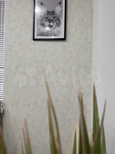 1-к. квартира, 45 м², 1/9 эт.