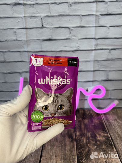 Кошачий корм влажный