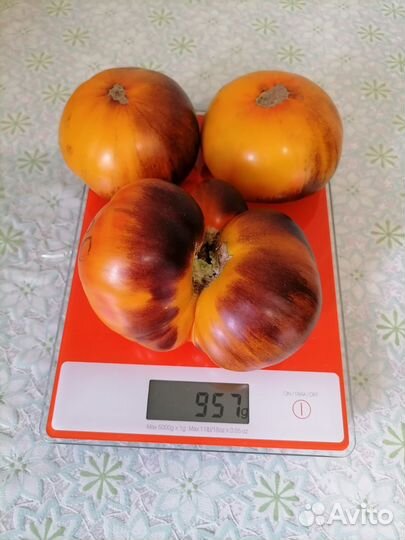 Семена томатов Люсид джем, Двойной восторг Дона