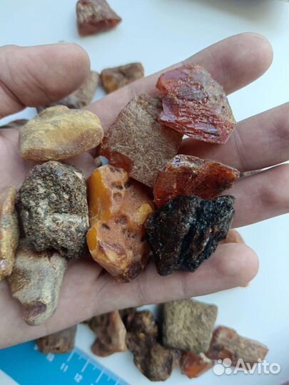 Янтарь натуральный балтийский