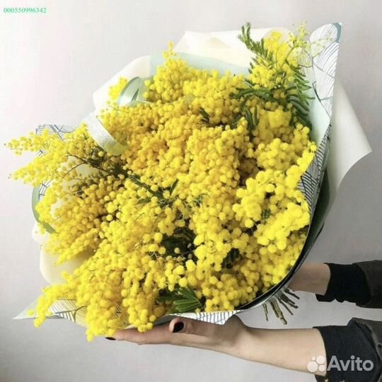 Букеты из мимозы (Арт.14713)